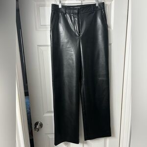 Aritzia, faux leather pants, Babaton